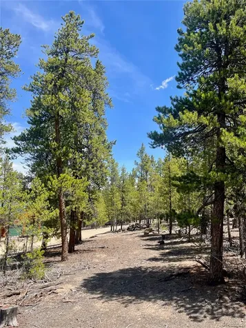 758 Spruce Drive Twin Lakes CO 80461