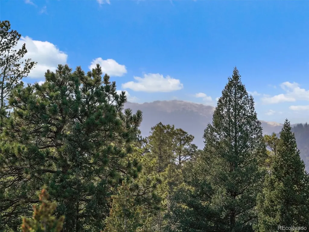 33884 Bergen View Trail Evergreen CO 80439