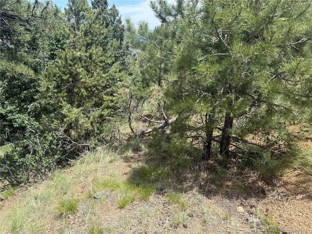 358 Sugarloaf Manitou Springs CO 80829