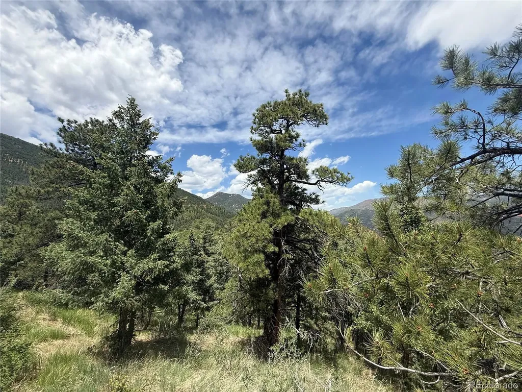 358 Sugarloaf Manitou Springs CO 80829