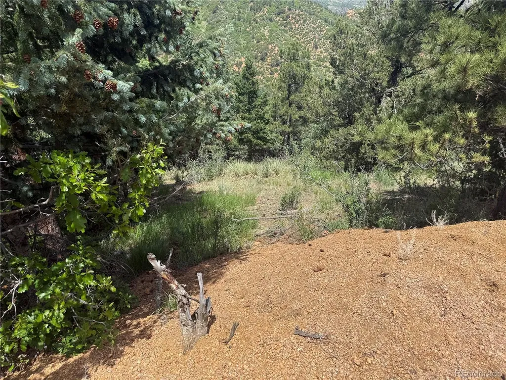 358 Sugarloaf Manitou Springs CO 80829