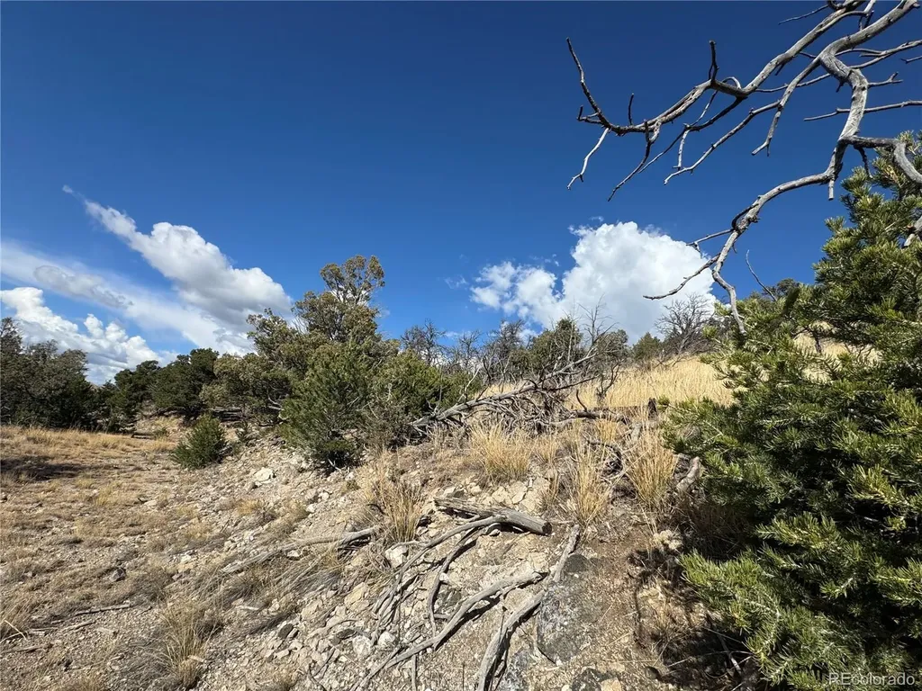 0 27th Trail Cotopaxi CO 81223