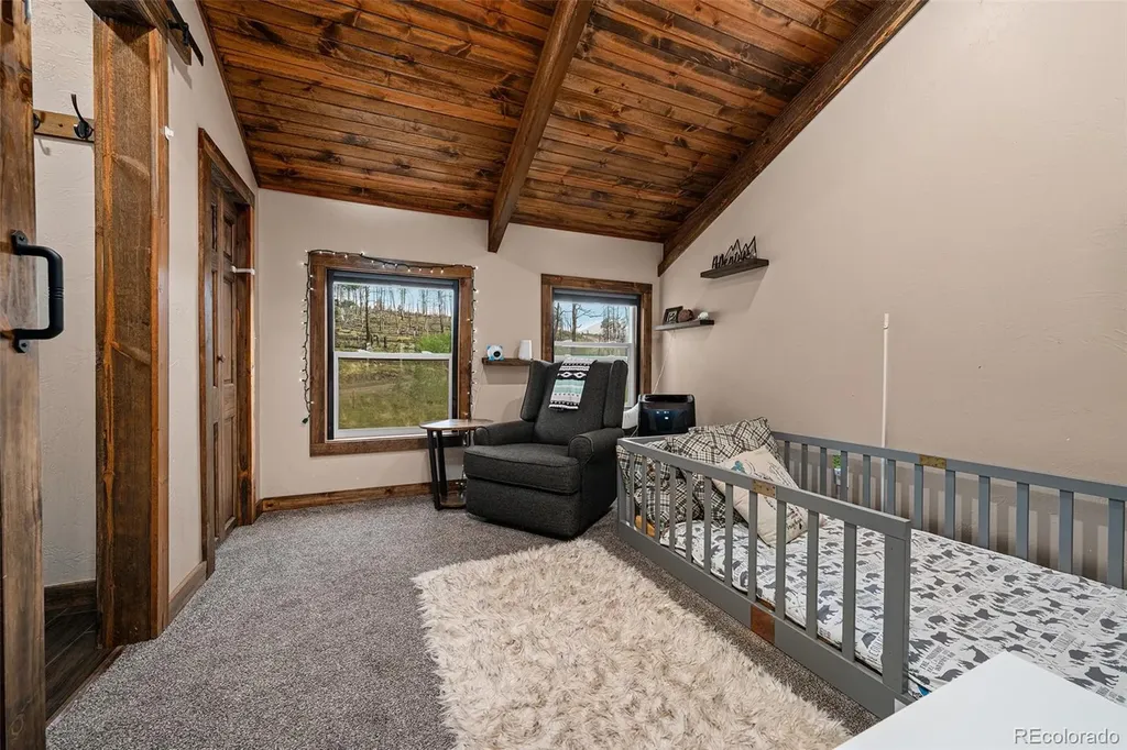 1034 Van Fossan Lane Fort Garland CO 81133