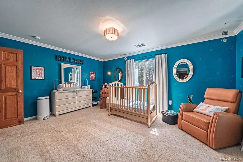 1210 Kenosha Drive Larkspur CO 80118
