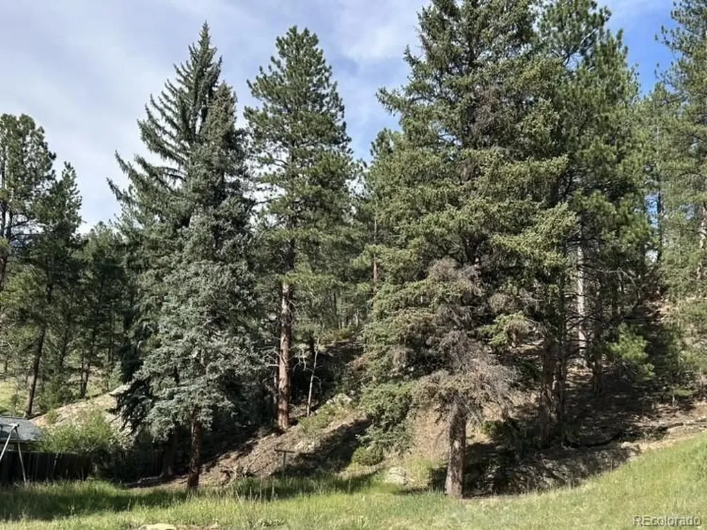 5190 Country Road 73 Evergreen CO 80439