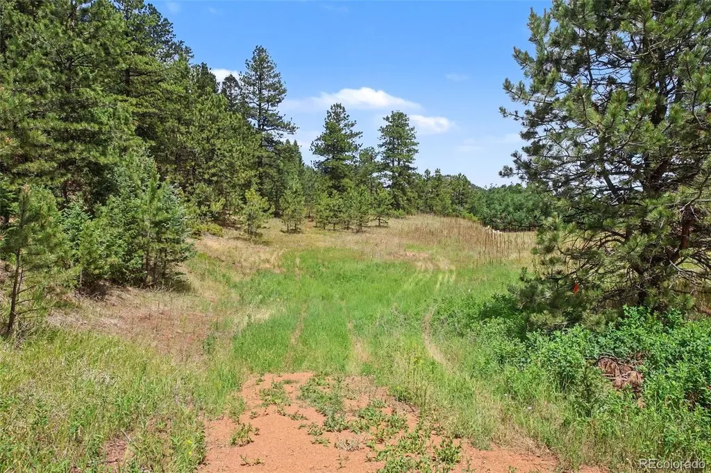 10905 W Highway 24 Green Mountain Falls CO 80819