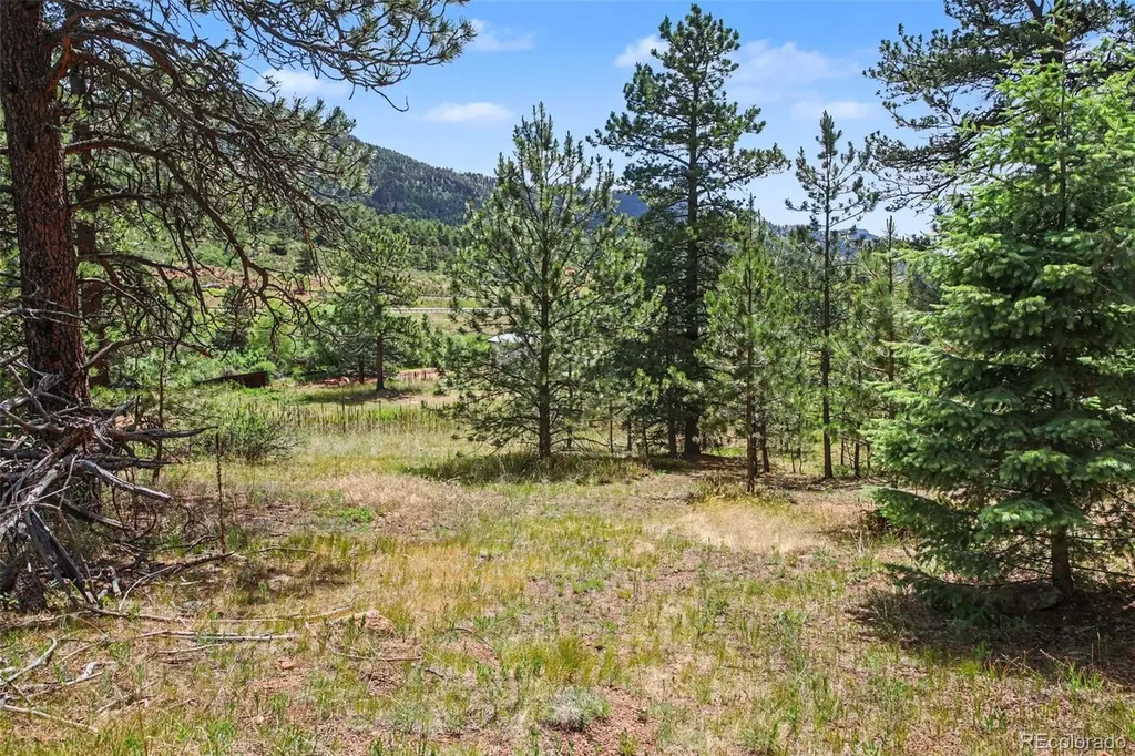 10905 W Highway 24 Green Mountain Falls CO 80819