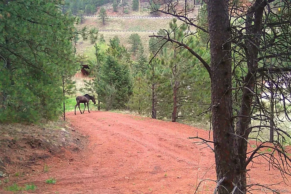 10905 W Highway 24 Green Mountain Falls CO 80819