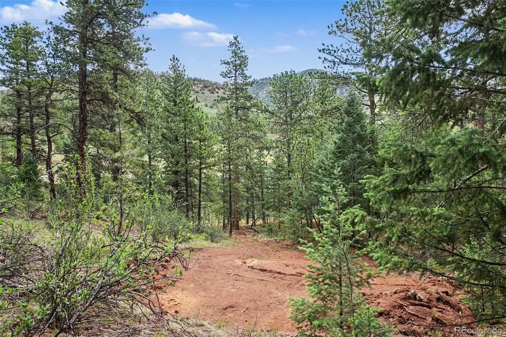 10905 W Highway 24 Green Mountain Falls CO 80819