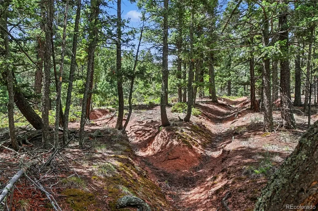 10905 W Highway 24 Green Mountain Falls CO 80819