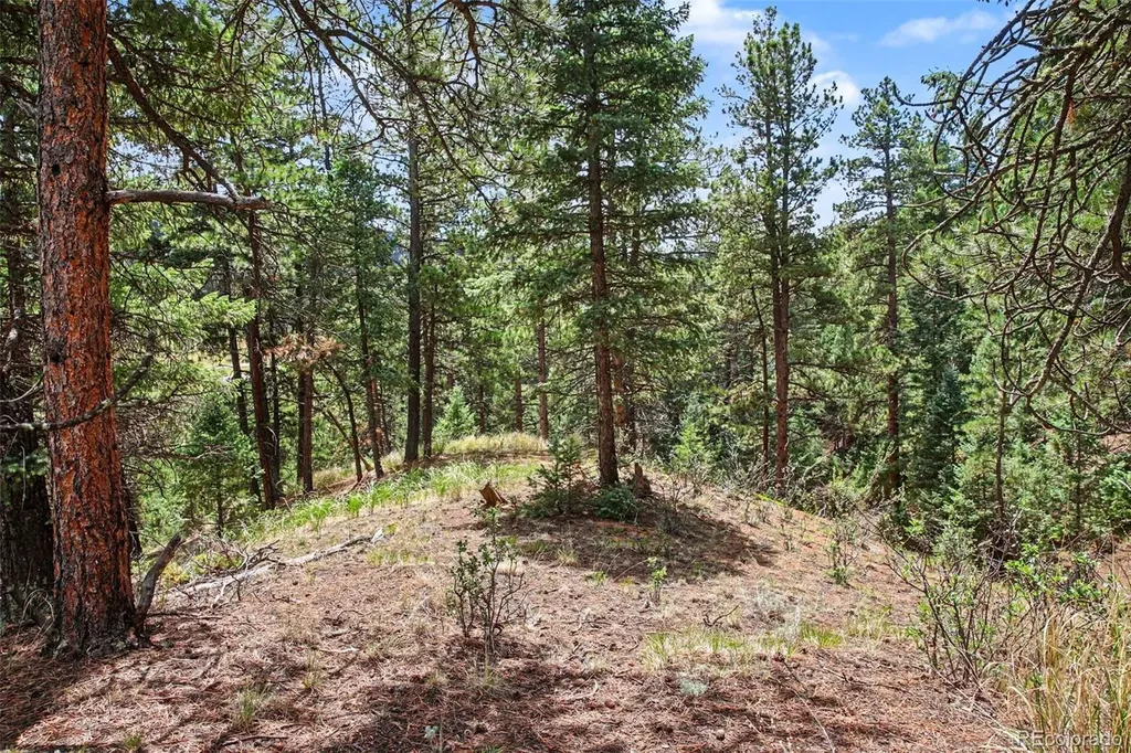 10905 W Highway 24 Green Mountain Falls CO 80819