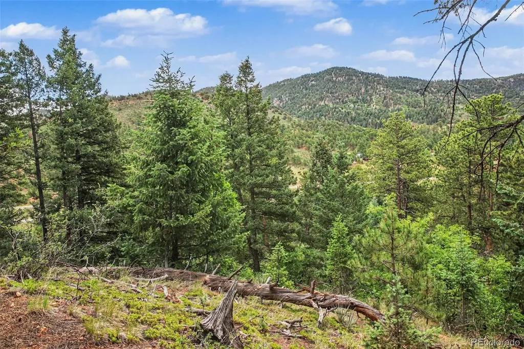 10905 W Highway 24 Green Mountain Falls CO 80819