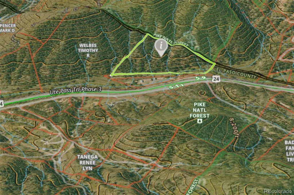 10905 W Highway 24 Green Mountain Falls CO 80819