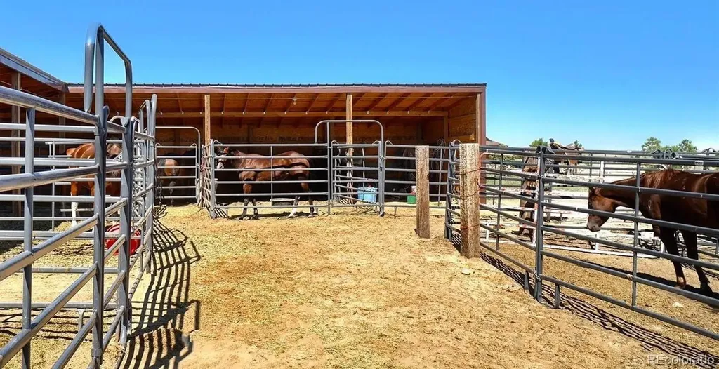 20597 Silverado Hill View Colorado Springs CO 80928