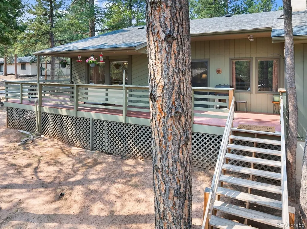 723 Pine Street Woodland Park CO 80863
