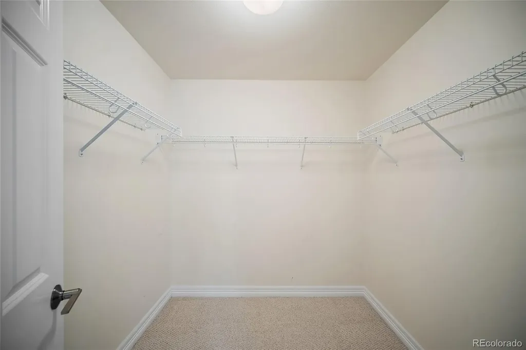 3135 Deergrass Place Colorado Springs CO 80920