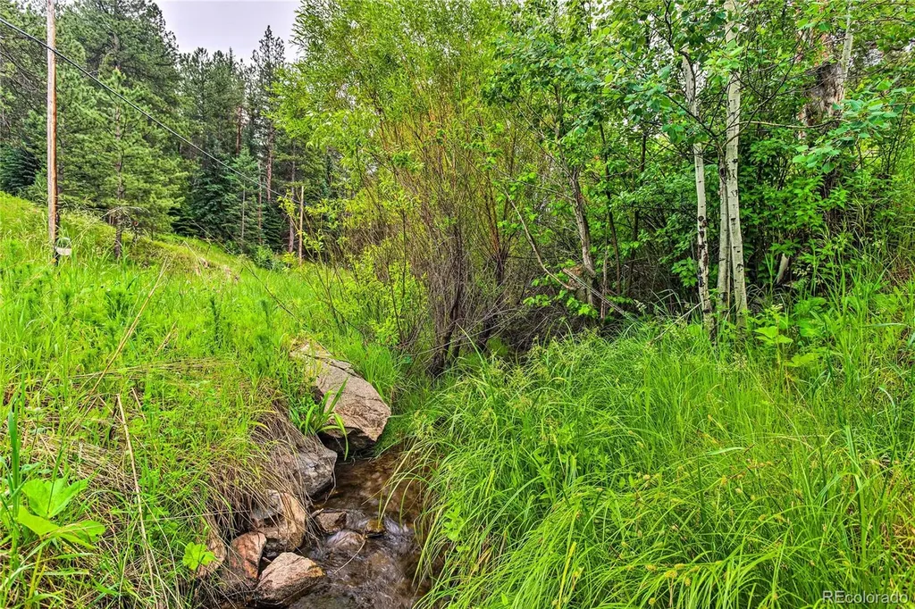 7559 S Turkey Creek Road Morrison CO 80465