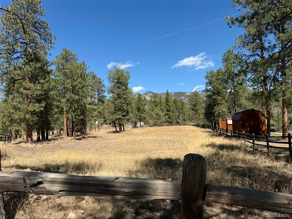 33623 Smith Road Pine CO 80470