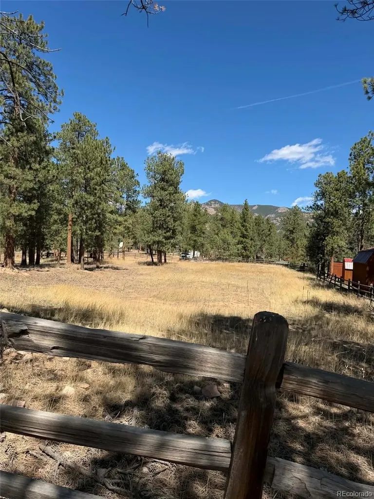 33623 Smith Road Pine CO 80470