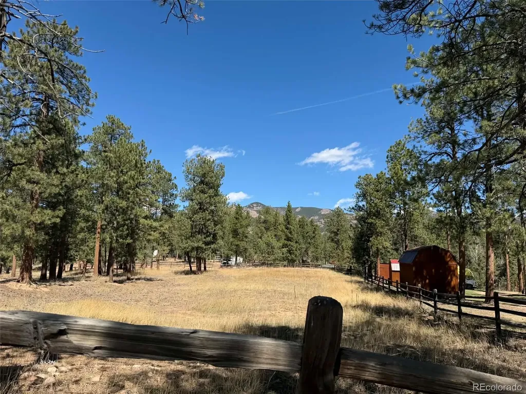 33623 Smith Road Pine CO 80470