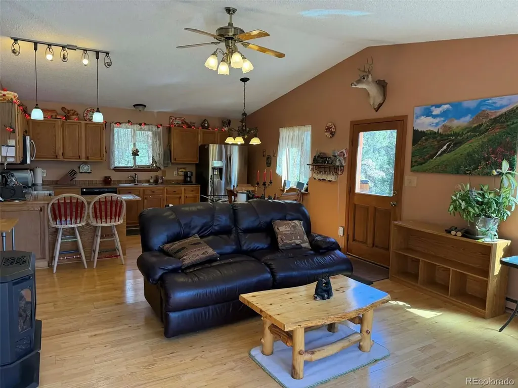 33623 Smith Road Pine CO 80470