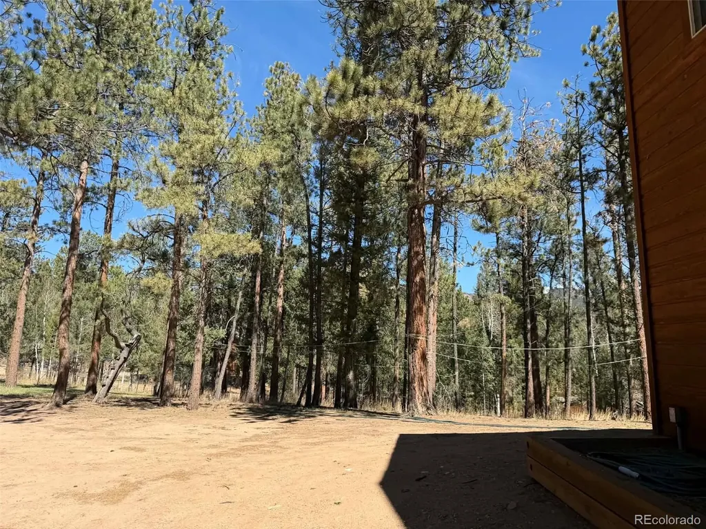 33623 Smith Road Pine CO 80470