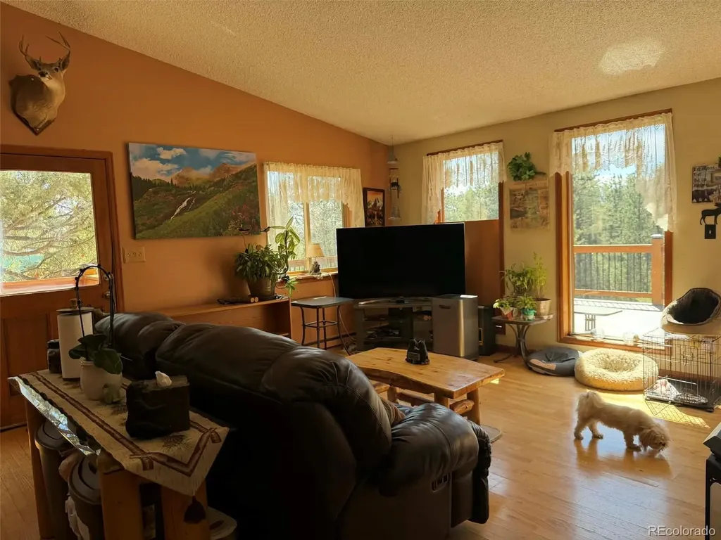 33623 Smith Road Pine CO 80470