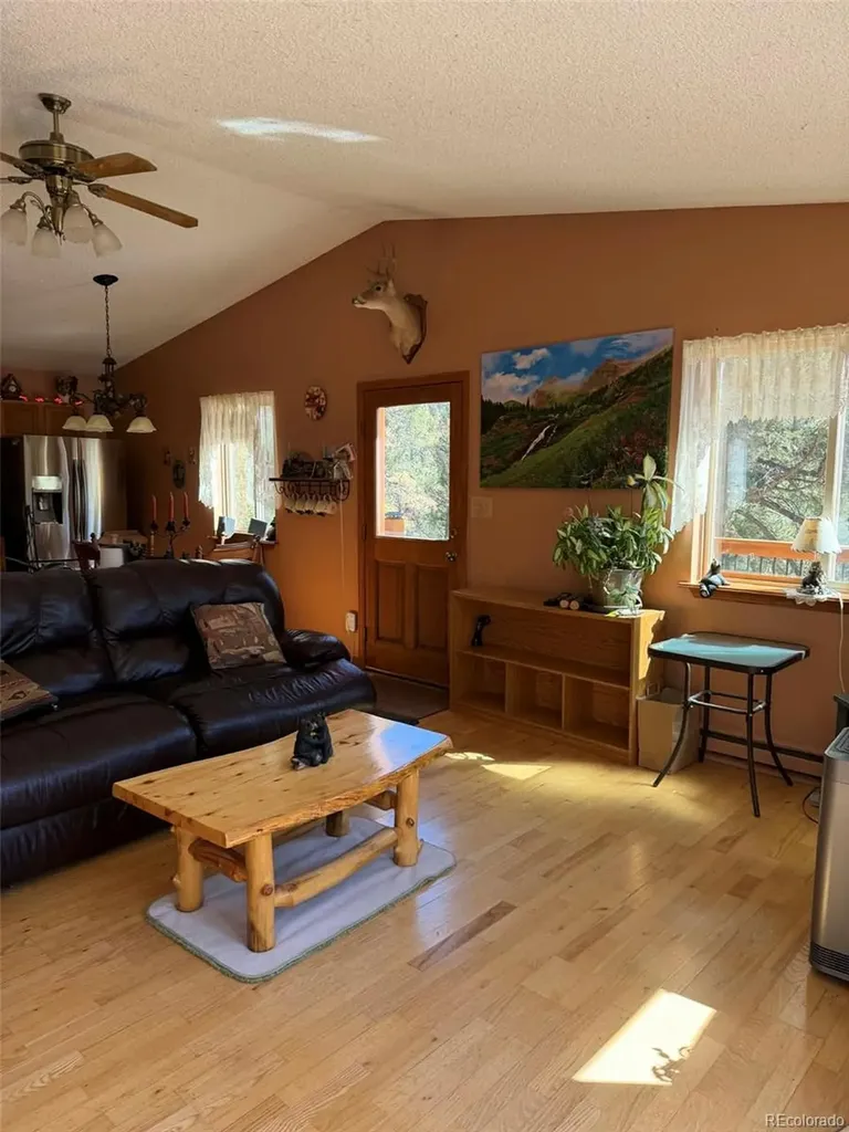 33623 Smith Road Pine CO 80470