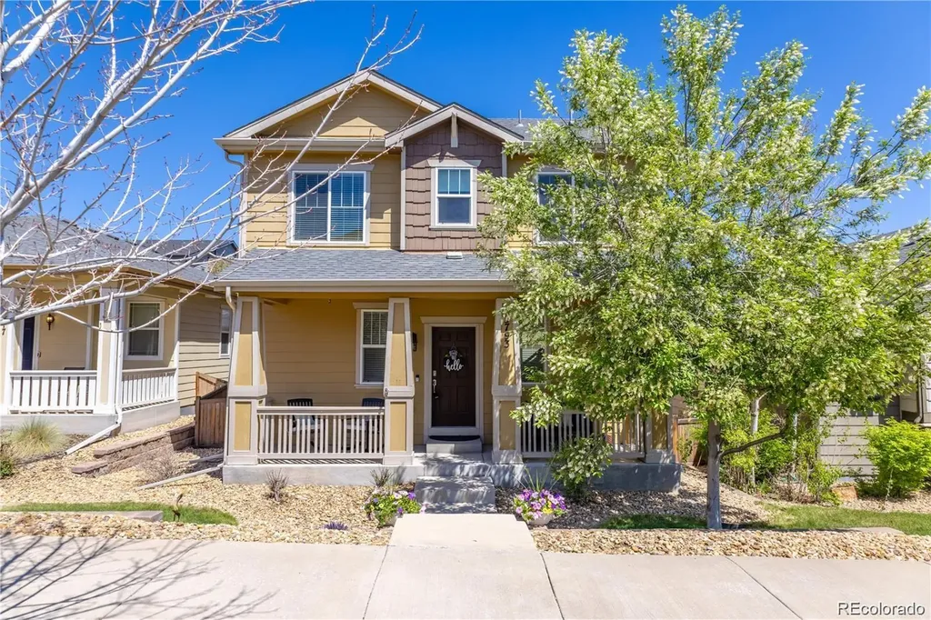 3793 Cadence Drive Castle Rock CO 80109