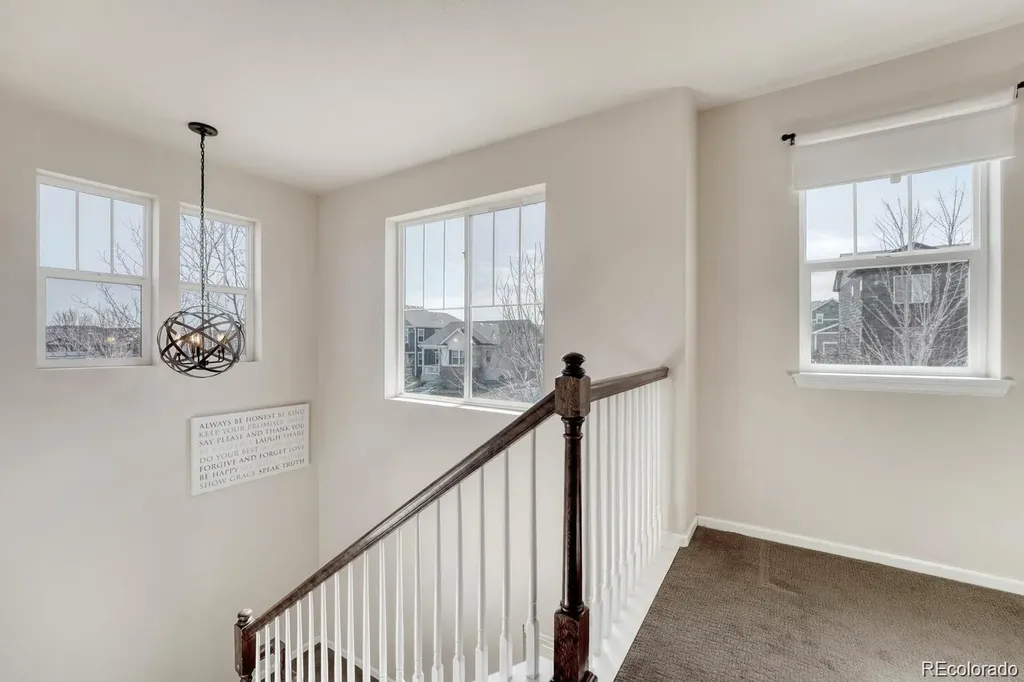 3793 Cadence Drive Castle Rock CO 80109