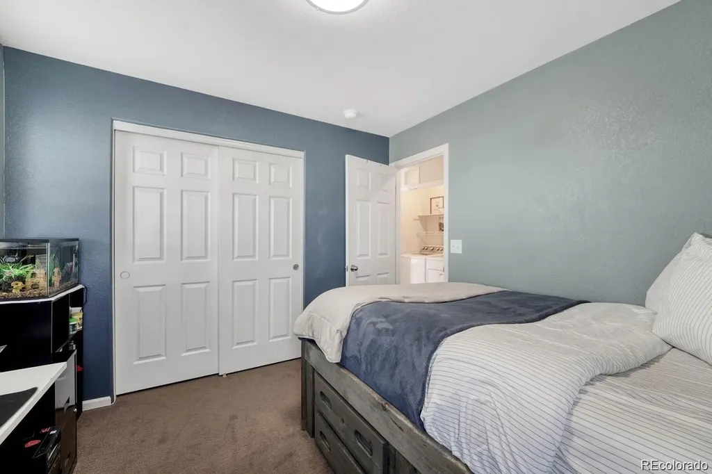 3793 Cadence Drive Castle Rock CO 80109