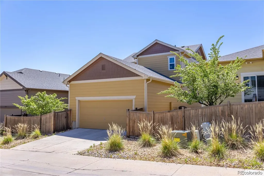 3793 Cadence Drive Castle Rock CO 80109