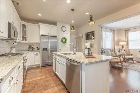 3793 Cadence Drive Castle Rock CO 80109