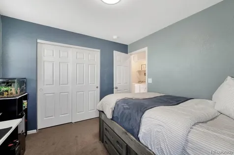 3793 Cadence Drive Castle Rock CO 80109