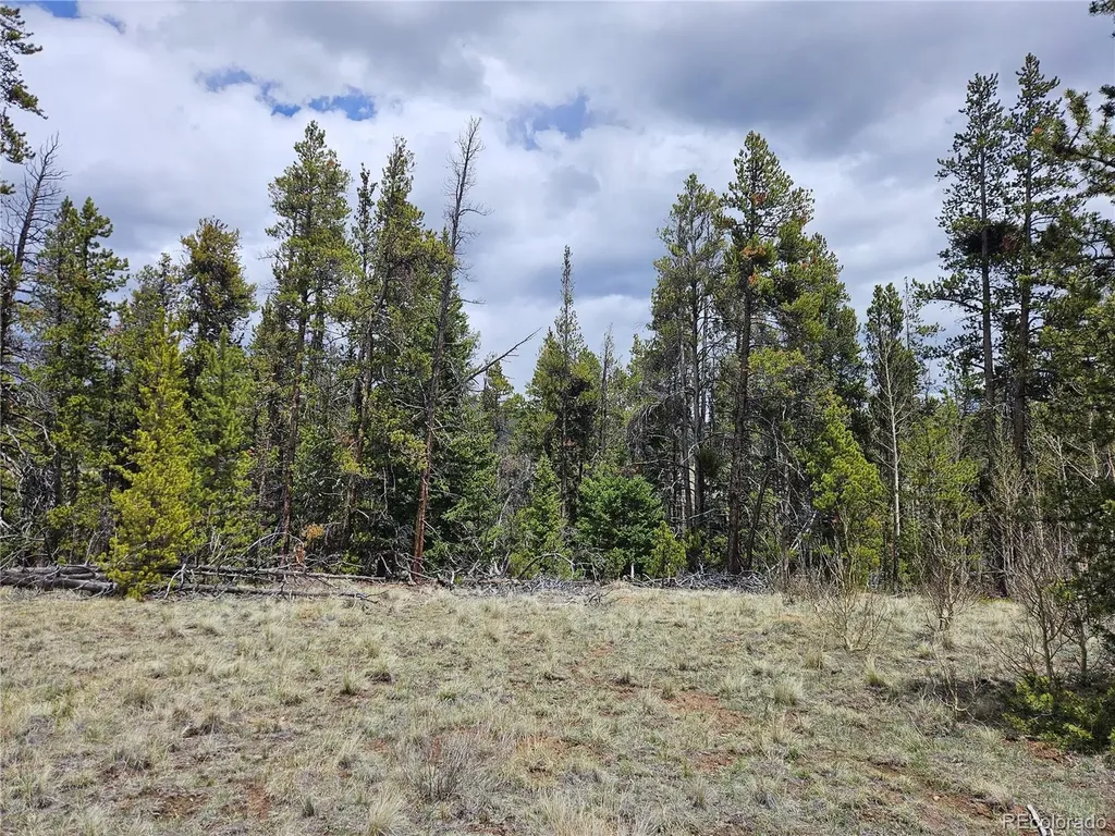 700 Looney Lane Alma CO 80420