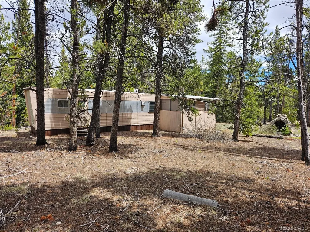 700 Looney Lane Alma CO 80420