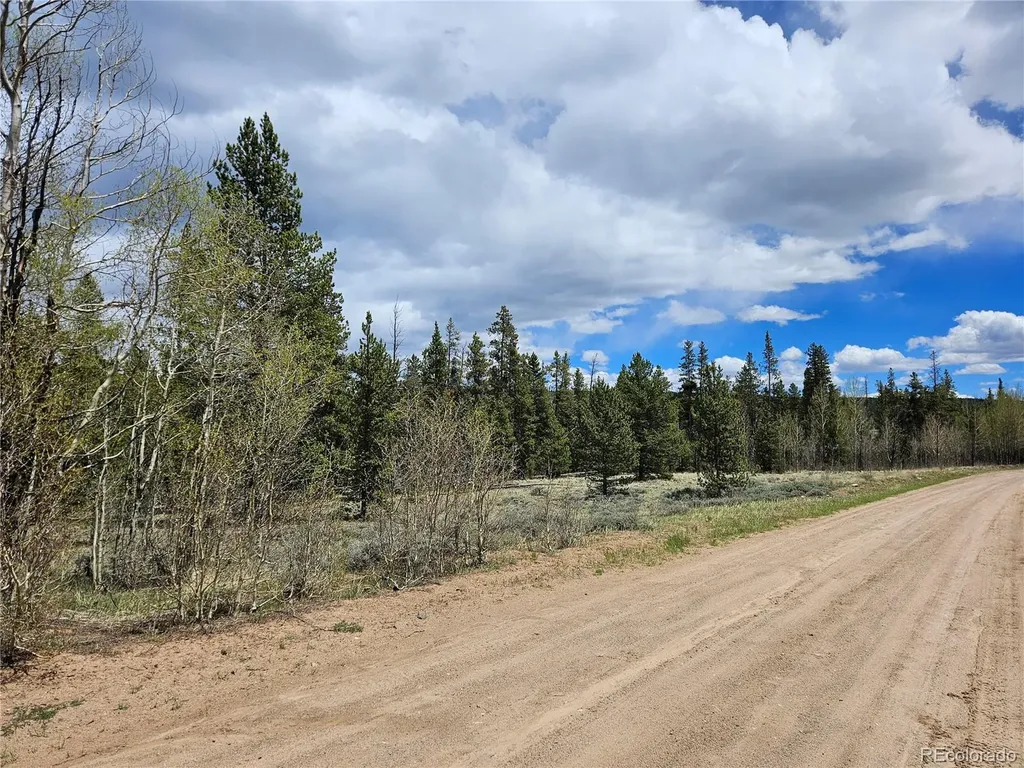 700 Looney Lane Alma CO 80420
