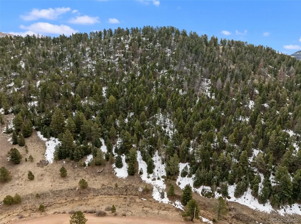 278 Penrose Circle Florissant CO 80816