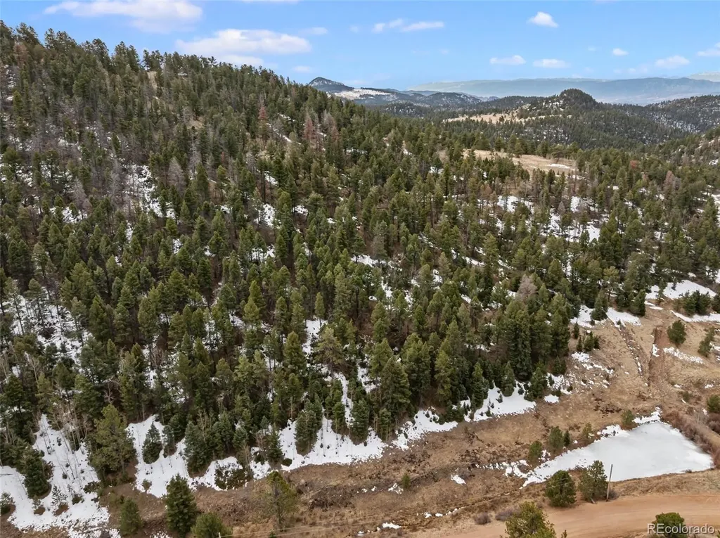 278 Penrose Circle Florissant CO 80816