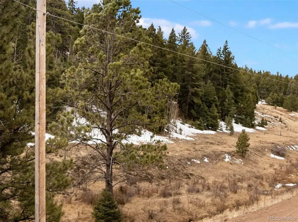 278 Penrose Circle Florissant CO 80816