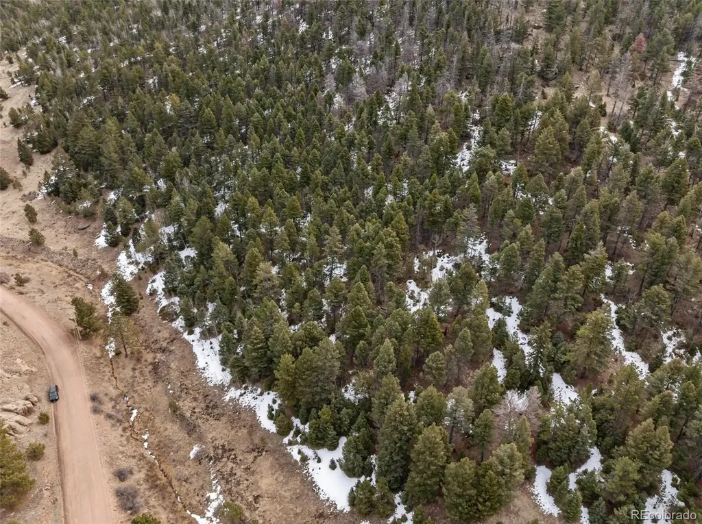 278 Penrose Circle Florissant CO 80816