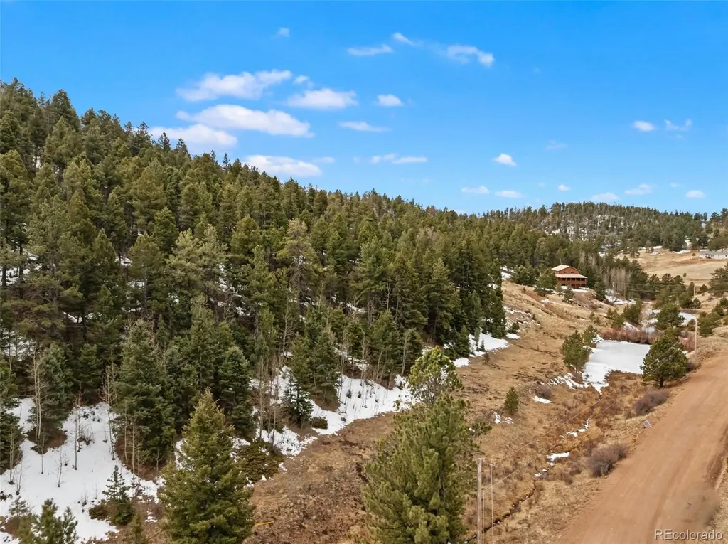 278 Penrose Circle Florissant CO 80816