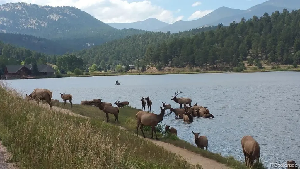 7665 Malamute Drive Evergreen CO 80439