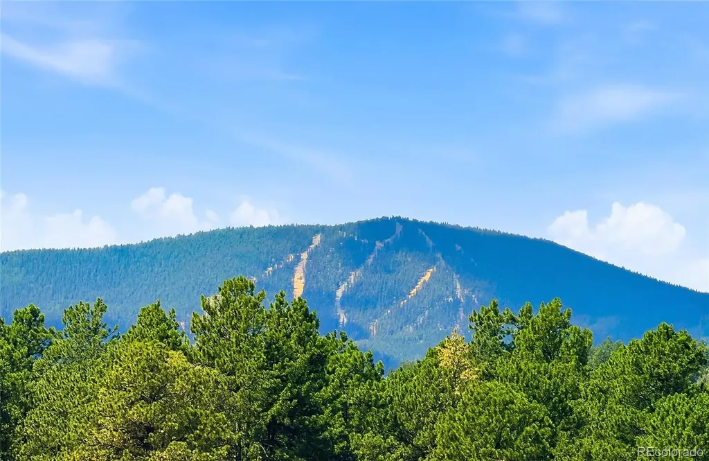 7665 Malamute Drive Evergreen CO 80439