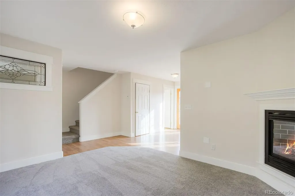 372 N Oak Street Alma CO 80420
