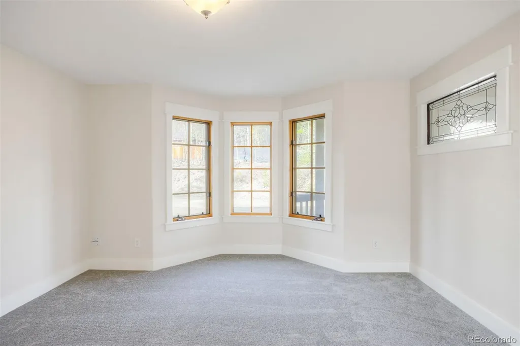 372 N Oak Street Alma CO 80420