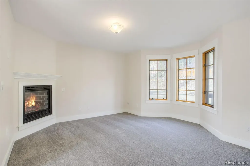 372 N Oak Street Alma CO 80420