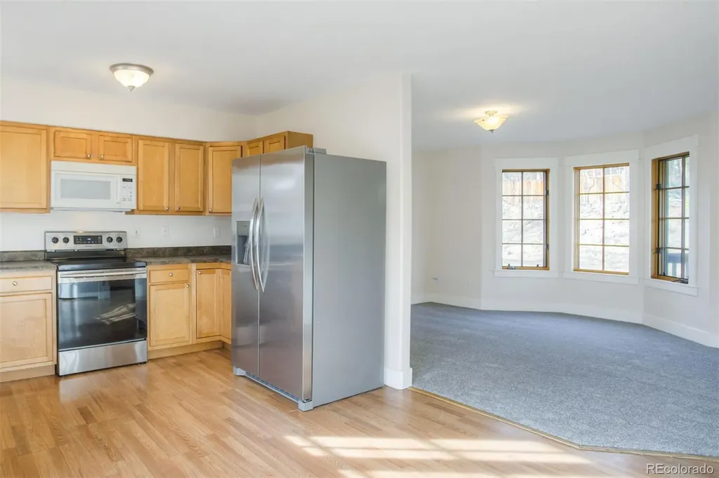 372 N Oak Street Alma CO 80420