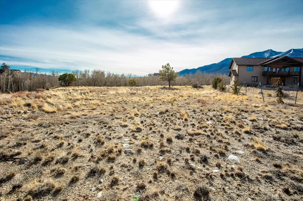 17573 Trout Circle Buena Vista CO 81211