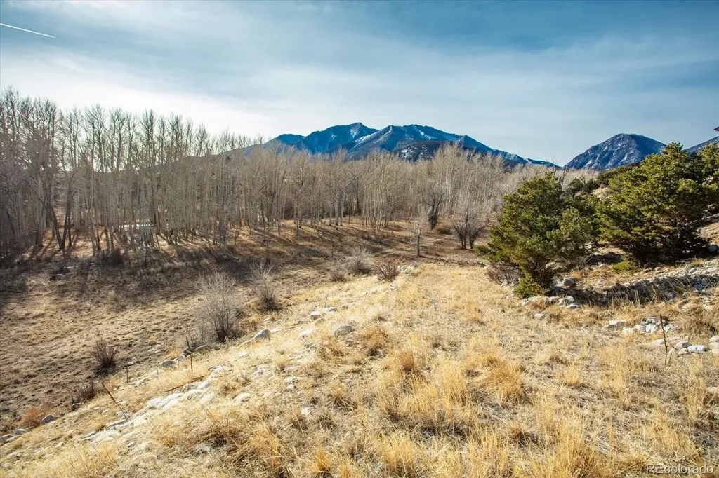17573 Trout Circle Buena Vista CO 81211